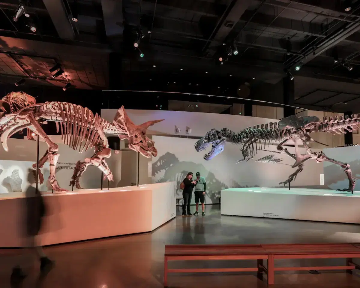 Museo de Ciencias Naturales de Houston